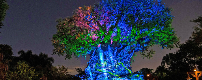 24 Milestones for Disney's Animal Kingdom 24th Anniversary