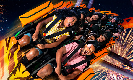 Head to Busch Gardens Tampa for Summer Nights and ride the newest roller coaster, Tigris at night (Photo: Busch Gardens Tampa)