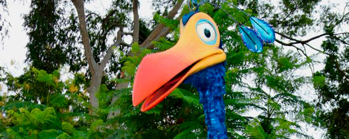 Come see Kevin from 'UP!' this February at Disney's Animal Kingdom (Photo: Disney Parks Blog)