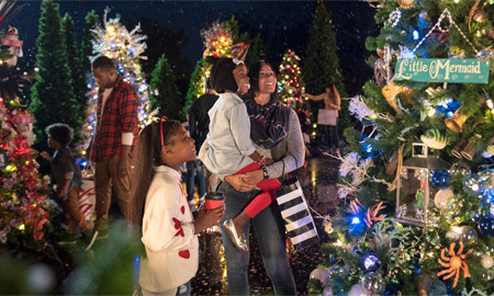 Don't miss your chance to see the beautiful Christmas trees at Walt Disney World with these holiday savings (Photo: Walt Disney World News)