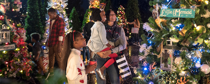 Don't miss your chance to see the beautiful Christmas trees at Walt Disney World with these holiday savings (Photo: Walt Disney World News)