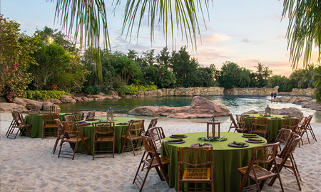Discovery Cove Nighttime Buffet