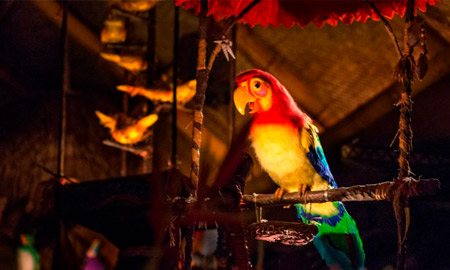 Did you know that The Enchanted Tiki room is another by the famed Sherman Brothers' (Photo: Disney Parks Blog)