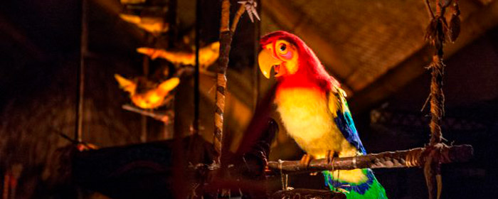 Did you know that The Enchanted Tiki room is another by the famed Sherman Brothers' (Photo: Disney Parks Blog)