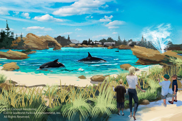 The new area will include a “fast water current” that will allow whales to swim across moving water.