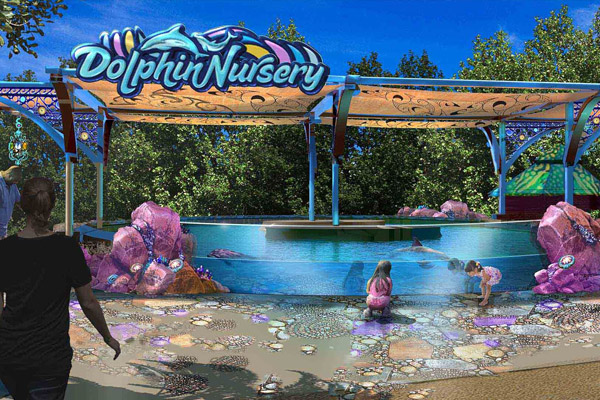 The all-new dolphin nursery will give guests and up close look at Dolphins