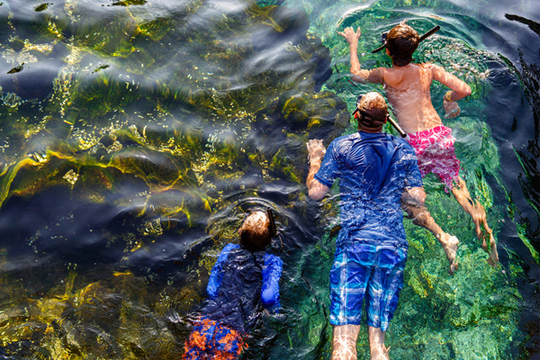 Shark Reef at Disney&rsquo;s Typhoon Lagoon is now closed