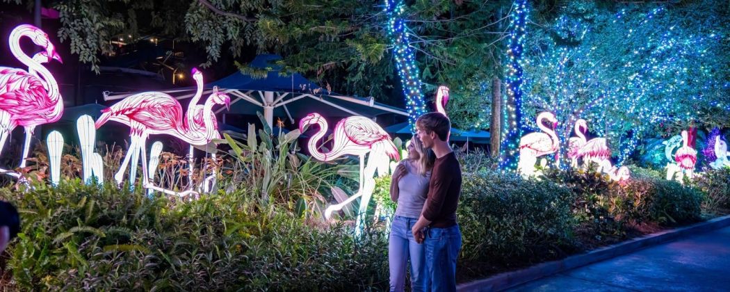 Tickets for Aquatica Orlando Illuminate