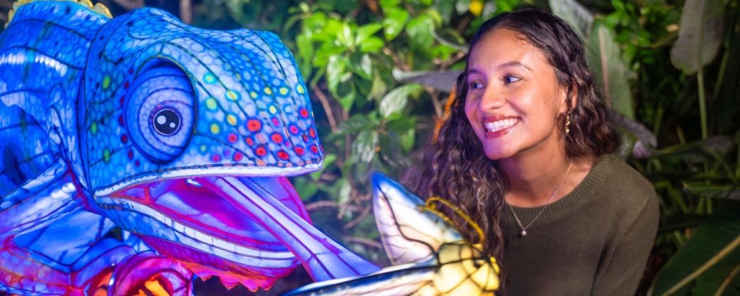 Tickets for Aquatica Orlando Illuminate