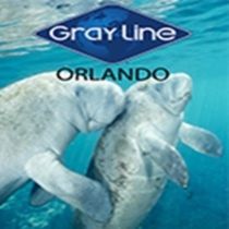 Manatee Swim, Snorkel and Boat Adventure Tour by Gray Line Orlando at BestofOrlando.com – Key Art